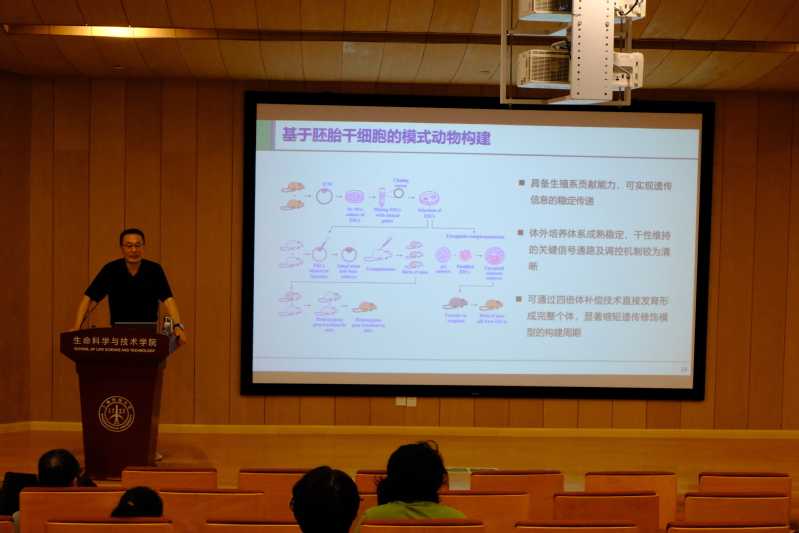 孙强：营养匮乏如何让胚胎暂停发育？
