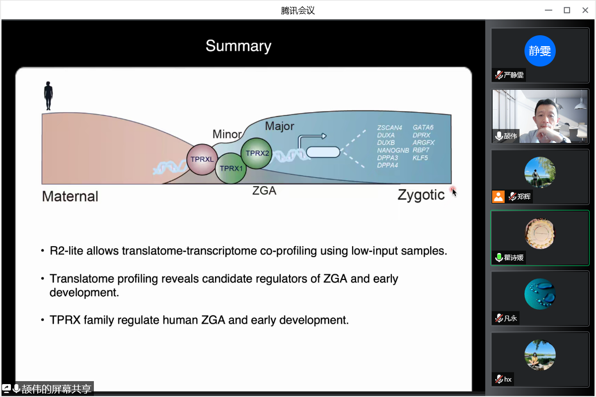 颉伟：Decoding the transcription regulation in zygotic genome activation