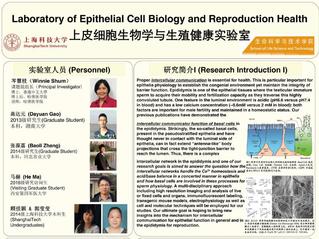 Laboratory of Epithelial Cell Biology and Reproduction Health