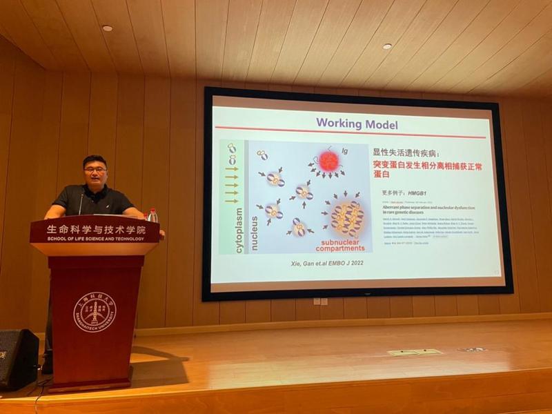 孟飞龙：基因力学密码与抗体基因多样化调控