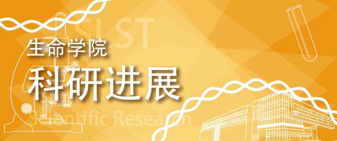 生命学院张力烨组与合作者揭示布氏锥虫线粒体基因组的环境适应性进化，本科生为共同一作