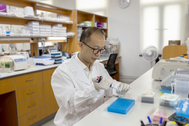 Nature背后的故事 | 从“意外发现”到“基因修正笔”，陈佳和团队寻找生命的可能