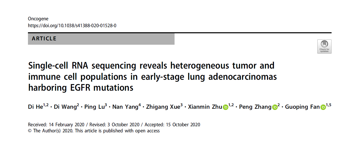 The SIAIS Research Team Reveals the Heterogeneous Tumor Cells and Their Immune Microenvironment in Early-Stage Lung Adenocarcinomas  