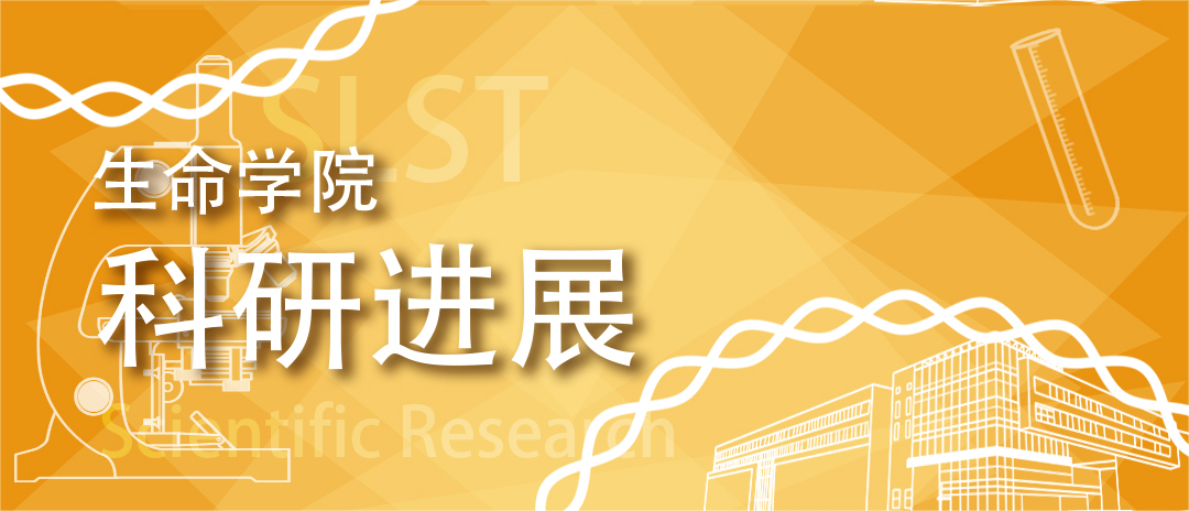 生命学院刘如娟课题组与合作者受邀发表线粒体tRNA相关综述