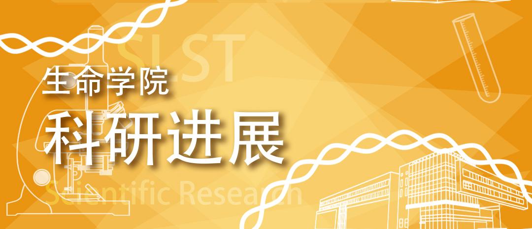 生命学院李剑峰与合作者研发肺靶向固体脂质纳米粒技术，有望治疗肺动脉高压